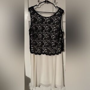 Dress Barn Black Lace Overlay Midi Dress